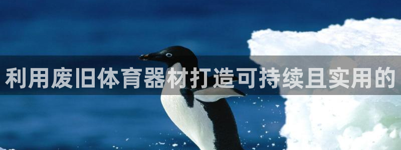 尊龙手机官方客户端下载：利用废旧体育器材打造可持续且