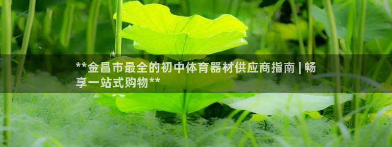 尊龙凯时人生就是博·(中国)官网官：**金昌市最全的