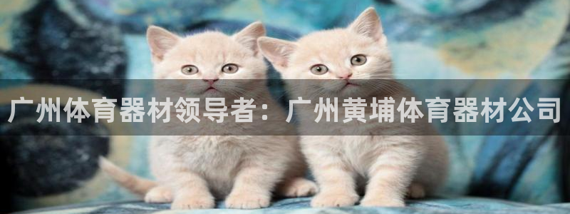 凯时首页登录：广州体育器材领导者：广州黄埔体育器材公