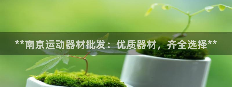 尊龙 ag：**南京运动器材批发：优质器材，齐全选择
