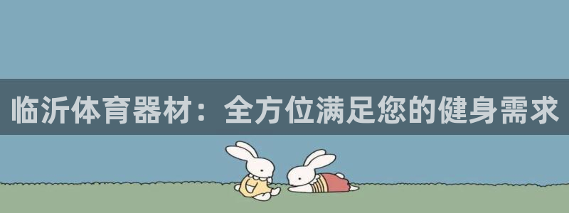 尊龙凯时官网：临沂体育器材：全方位满足您的健身需求