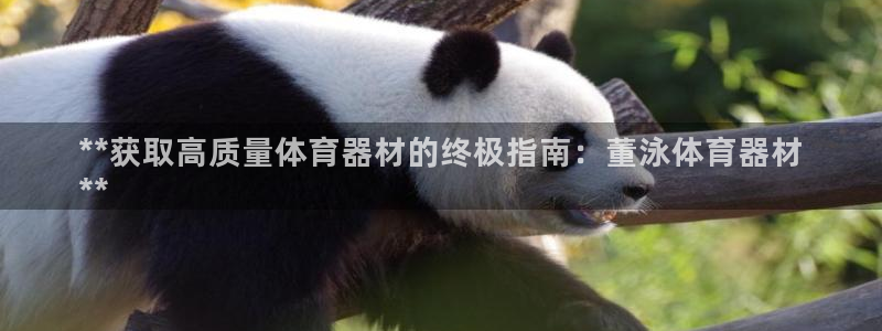 尊龙凯时代理佣金发不发：**获取高质量体育器材的终极