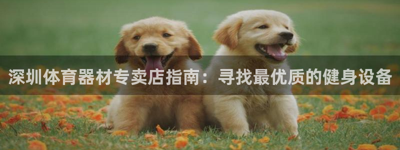 尊龙现金一下指导AG发财网：深圳体育器材专卖店指南：