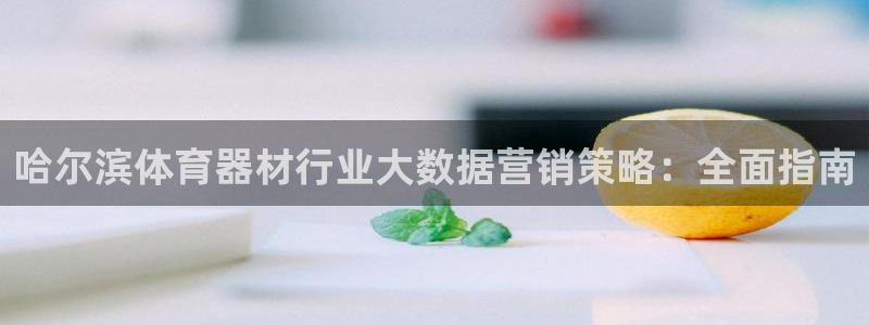 尊龙,人生就是搏：哈尔滨体育器材行业大数据营销策略：