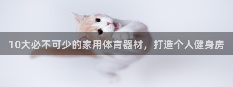 尊龙凯时请求参数不符合：10大必不可少的家用体育器材