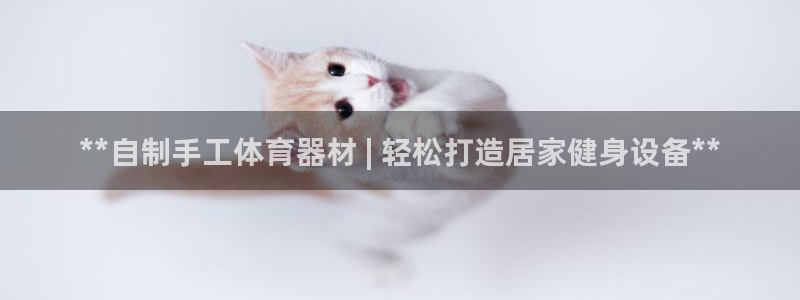 凯时kb88官网网址：**自制手工体育器材 | 轻松