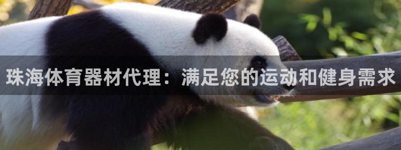 尊龙网站登录：珠海体育器材代理：满足您的运动和健身需