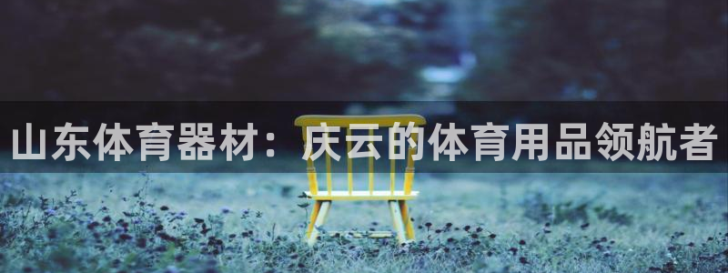 z6尊龙凯时：山东体育器材：庆云的体育用品领航者