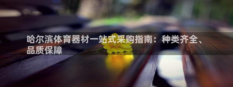 尊龙光学怎么样：哈尔滨体育器材一站式采购指南：种类齐