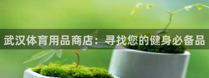 尊龙凯时ag旗舰厅登陆：武汉体育用品商店：寻找您的健