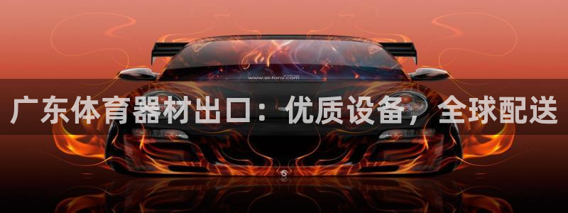 Ag尊龙平台：广东体育器材出口：优质设备，全球配送