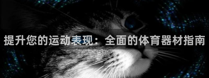 尊龙凯时：提升您的运动表现：全面的体育器材指南