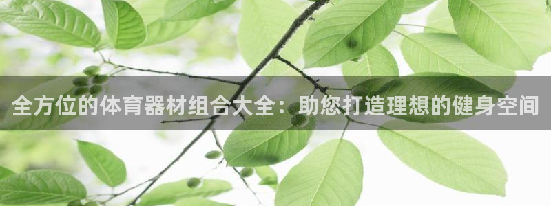尊龙1003尊龙 - 百度：全方位的体育器材组合大全