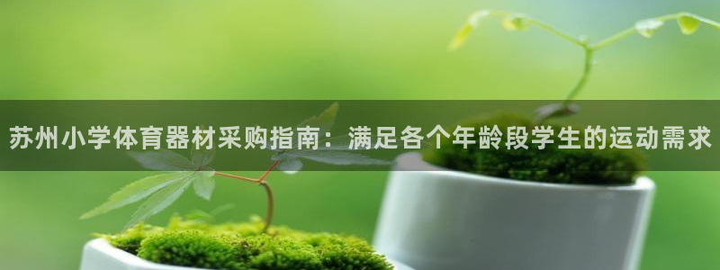 尊龙凯时福米推荐人：苏州小学体育器材采购指南：满足各