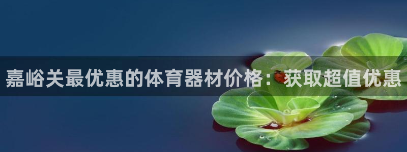 尊龙现金d88：嘉峪关最优惠的体育器材价格：获取超值