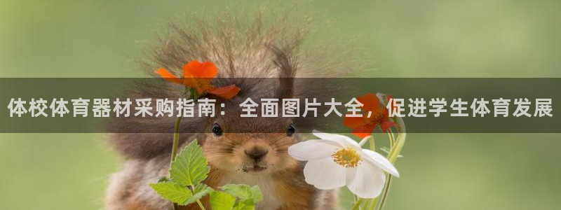 kb88凯时唯一官网注册：体校体育器材采购指南：全面