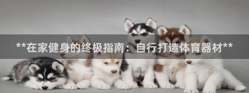 尊龙凯时电竞注册：**在家健身的终极指南：自行打造体