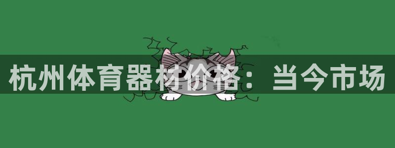 尊龙z6平台：杭州体育器材价格：当今市场