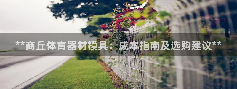 尊龙凯时取钱很慢：**商丘体育器材模具：成本指南及选