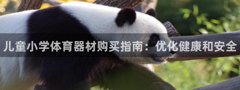尊龙现金d88：儿童小学体育器材购买指南：优化健康和