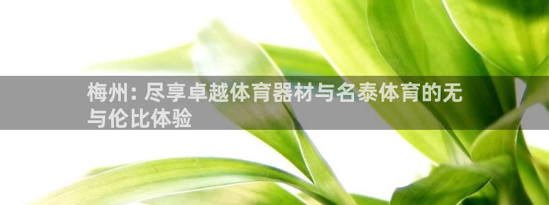 尊龙凯时人生就博：梅州: 尽享卓越体育器材与名泰体育