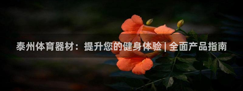 尊龙l1500：泰州体育器材：提升您的健身体验 | 