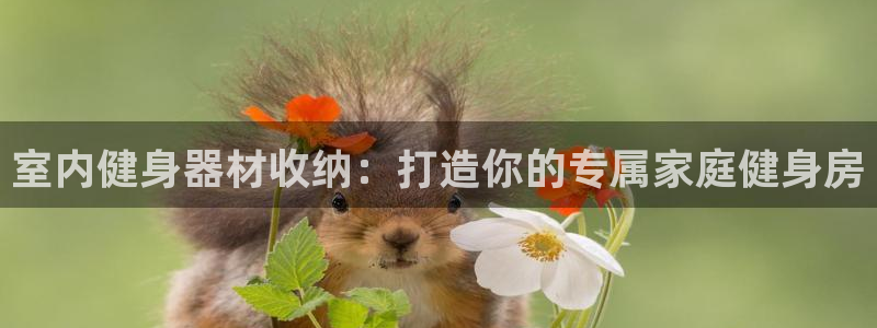 尊龙游戏官网游戏特色：室内健身器材收纳：打造你的专属