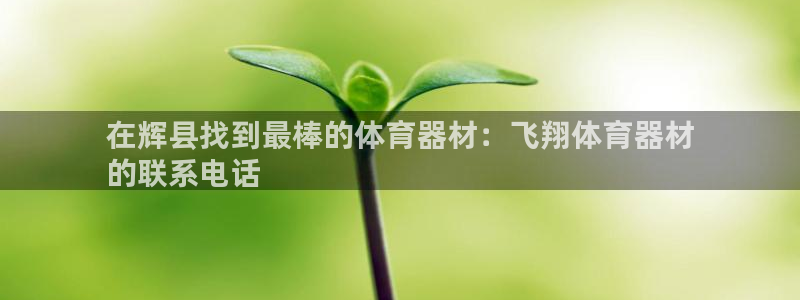凯时国际app首页下载：在辉县找到最棒的体育器材：飞