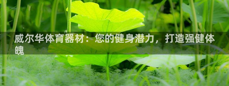 尊龙物流怎么样：威尔华体育器材：您的健身潜力，打造强