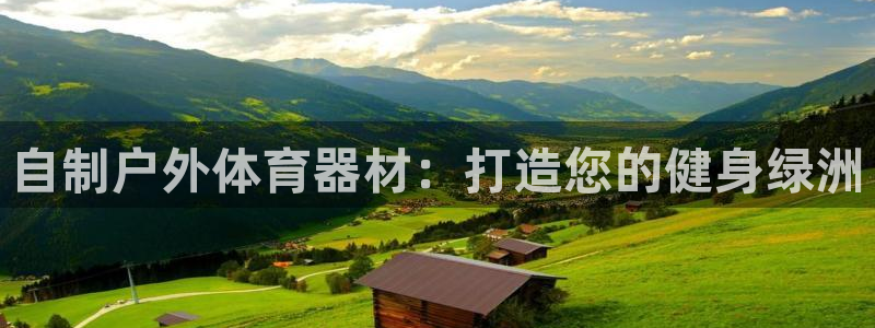 尊龙服饰品牌介绍：自制户外体育器材：打造您的健身绿洲