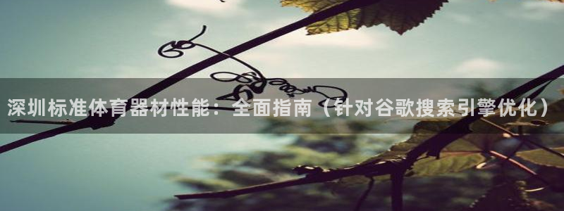 z6尊龙z6：深圳标准体育器材性能：全面指南（针对谷