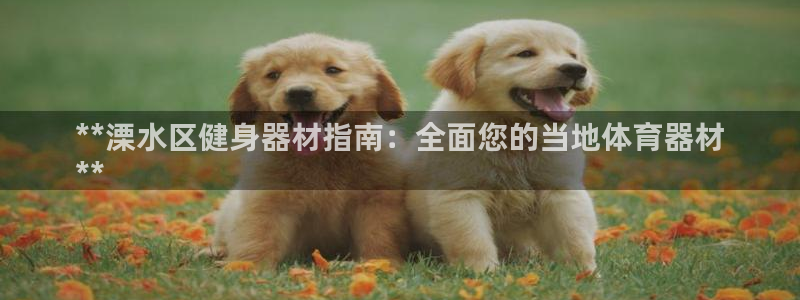 尊龙-人生就是博：**溧水区健身器材指南：全面您的当