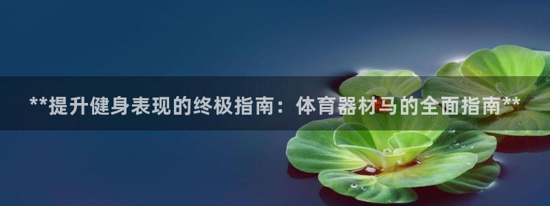 尊龙凯时推荐人：**提升健身表现的终极指南：体育器材