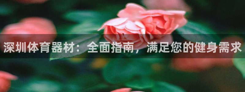 尊龙凯时代理官网入口：深圳体育器材：全面指南，满足您