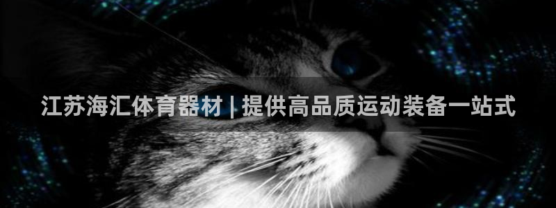 尊龙凯时人生就是博·(中国)官网最新：江苏海汇体育器