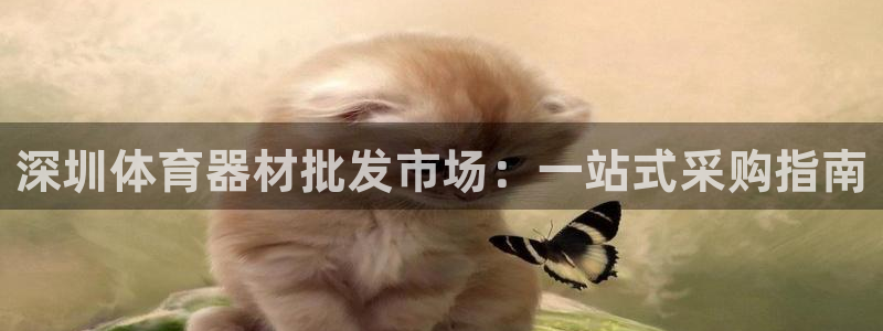 尊龙凯时人生就是搏!官网：深圳体育器材批发市场：一站