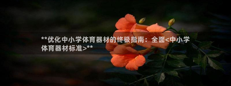 尊龙游戏app官方网站：**优化中小学体育器材的终极