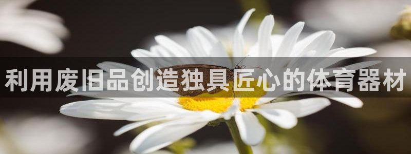 尊龙t600：利用废旧品创造独具匠心的体育器材