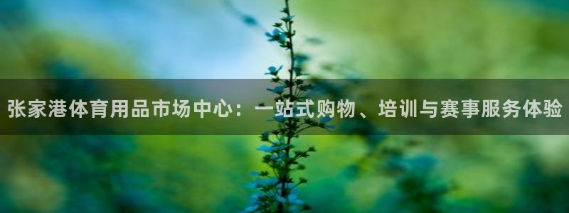 尊龙凯时一人生就是博官网