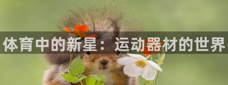 尊龙网址是多少