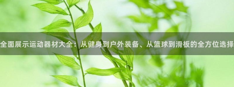 凯时平台怎么样
