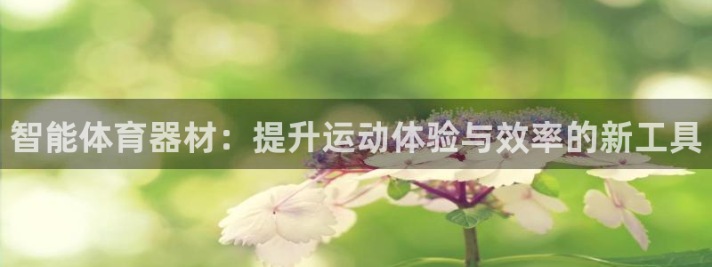 凯时官网手机版首页