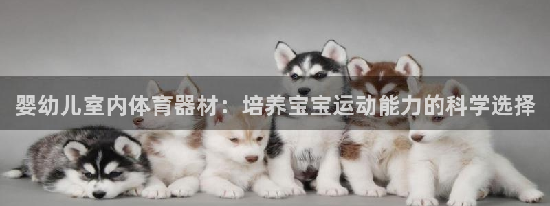 尊龙凯时存款多久到账