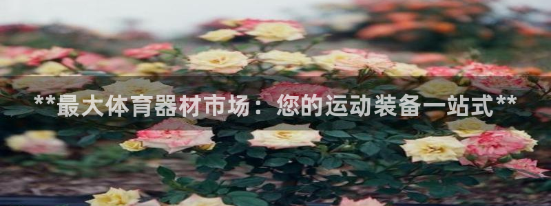 尊龙人生就是博ag：**最大体育器材市场：您的运动装备一站式