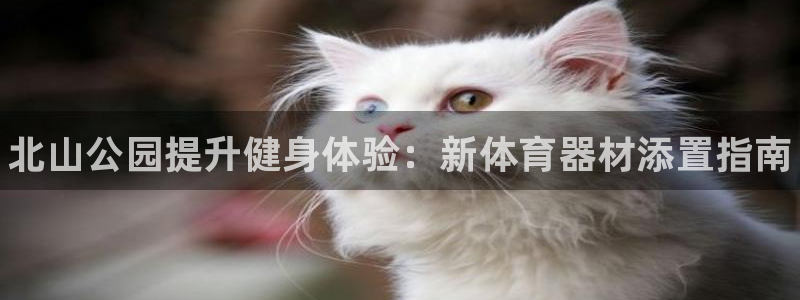 凯时平台app：北山公园提升健身体验：新体育器材添置