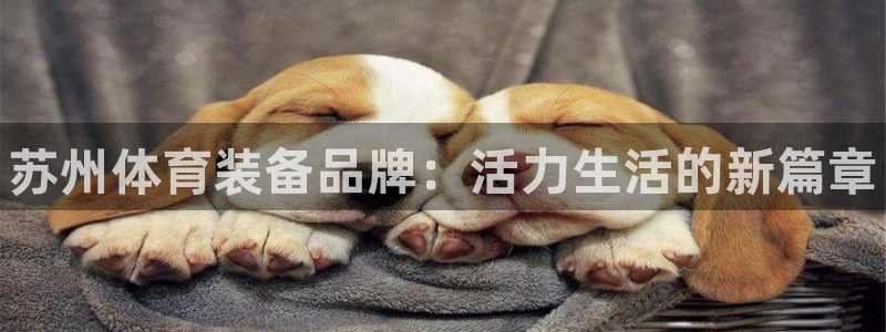 凯时官网app下载官方网站