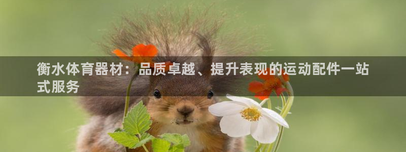 尊龙z6网址：衡水体育器材：品质卓越、提升表现的运动配件一站