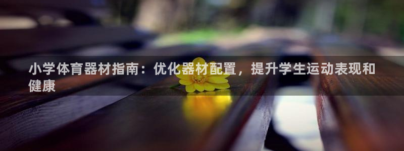 尊龙ag旗舰厅官网官方入口：小学体育器材指南：优化器