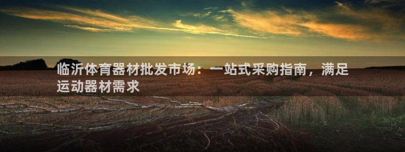 尊龙会：临沂体育器材批发市场：一站式采购指南，满足
