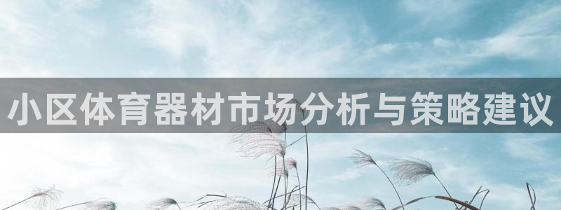 尊龙凯时vip：小区体育器材市场分析与策略建议